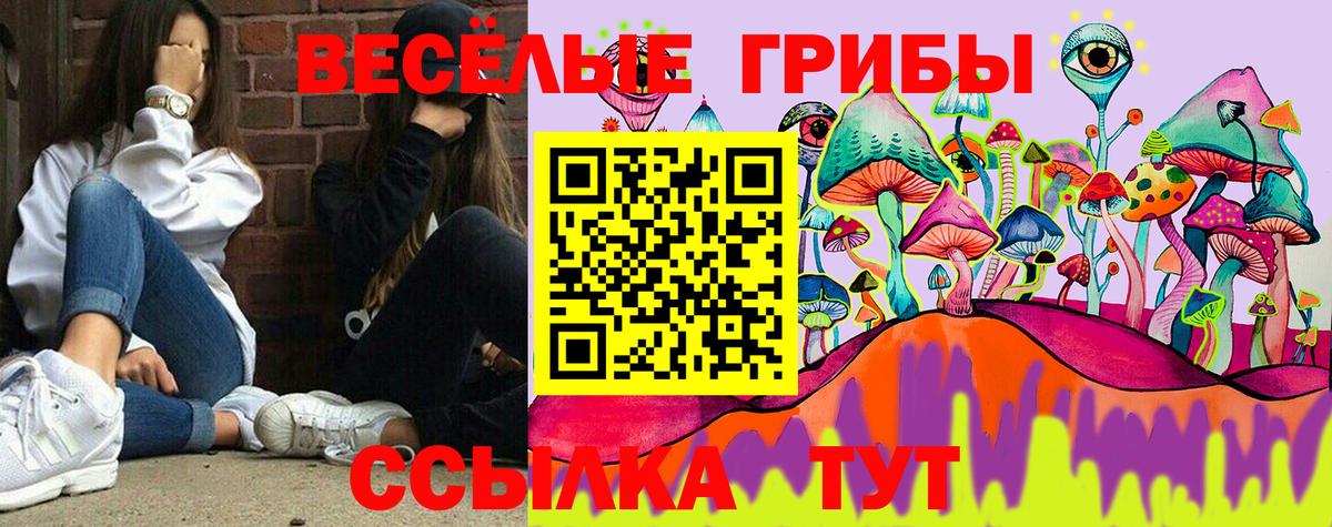 Сосновоборск  Псилоцибиновые грибы ЛСД  Вход с VPN 